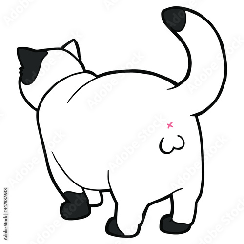 Spotted cat with large testicles. Back view. Coloring page. Black outline. 
