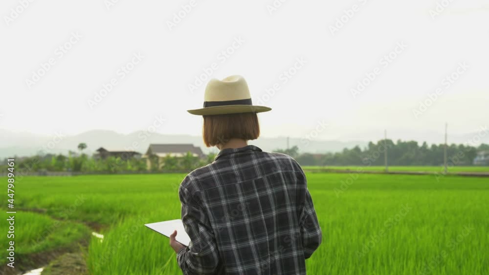 Close-up of Asian female farmer using tablet in her farm agricultural technology concept on a warm light day Close-up of Asian female farmer using tablet in her farm agricultural technology concept on a warm light day