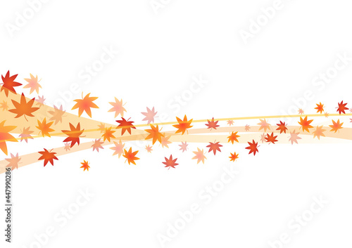 舞う　秋　モミジ　紅葉　カエデ　ウェーブ