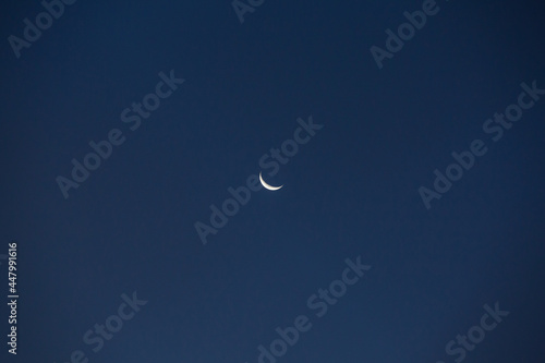 Lua Crescente, Waking Crescente Moon photo