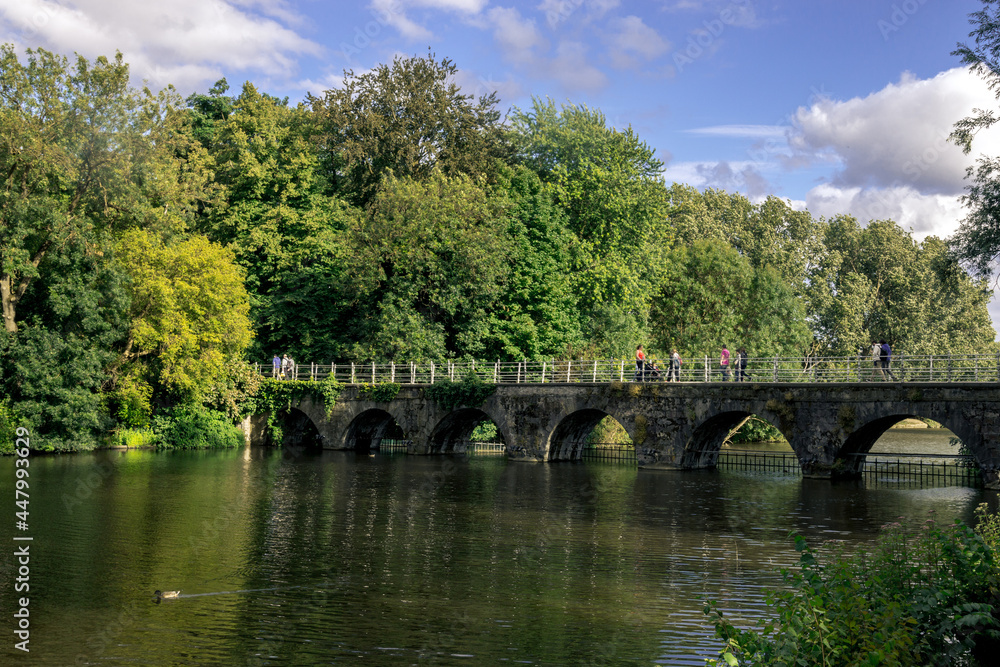 stone bridge on river in Bruges in the middle of the forest