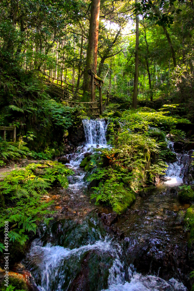 Obraz premium 瓜割の滝