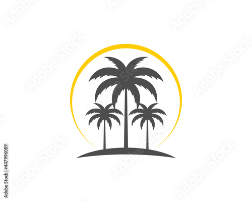 Silhouette of three palm trees with sunlight behind