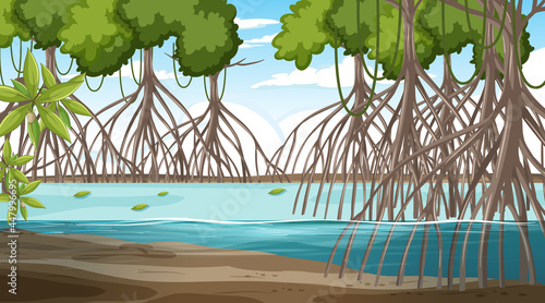 Mangrove forest landscape scene at daytime