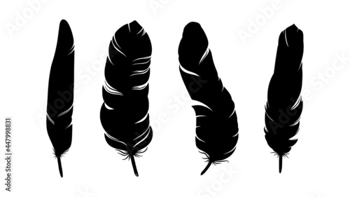 Bird feather silhouette. Decorative set of feathers isolated in white background. Hand drawn vector illustration