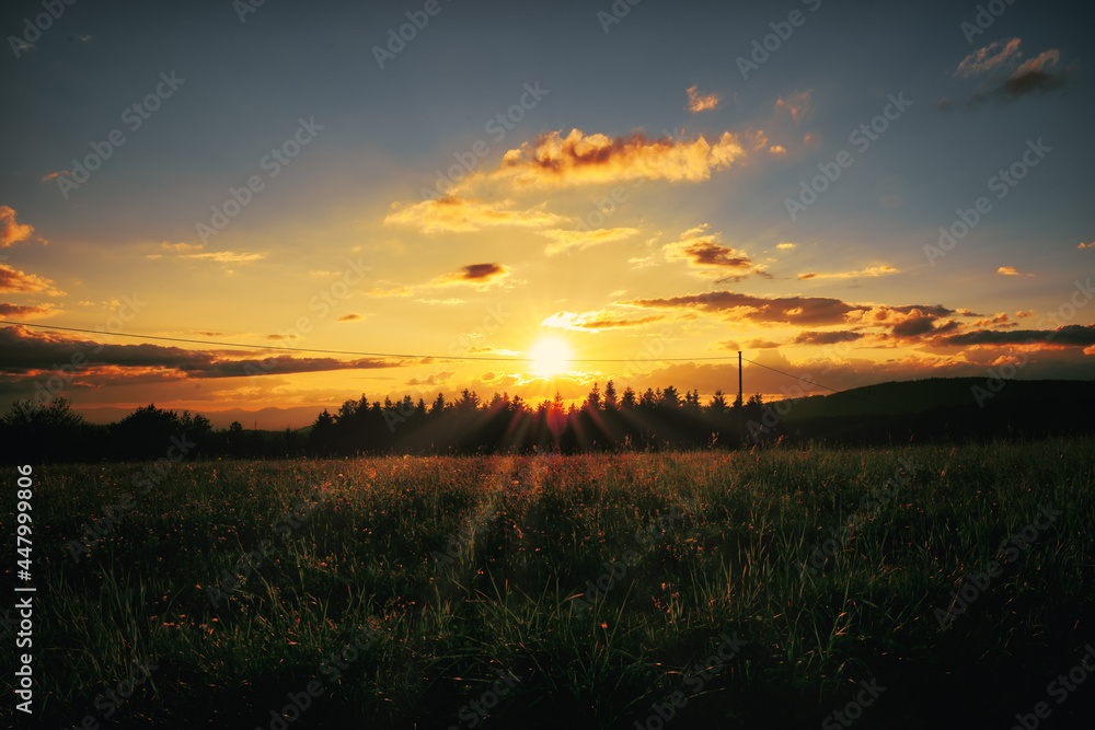 Fototapeta premium sunset over the field