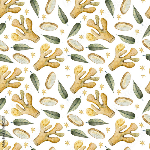 Watercolor ginger root, Hand drawn ginger illustration isolated on white background, seamless pattern, Organic healthy food ingredient for farmer market, restaurant menu, wallpaper, harvest festival