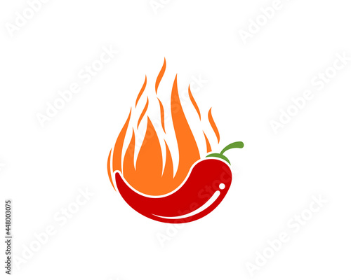 Red chilli with fire flame vector illustration logo