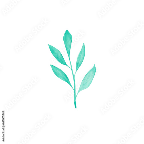 Watercolor leaves isolated on a white background. Hand-drawn tropical branch of tree illustration. Green floral clipart. Botanical object. Tea leaf. Bright freshness part of tree print.