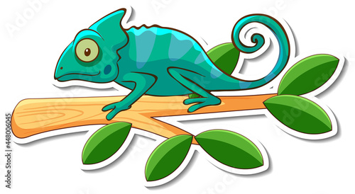 Chameleon lizard standing on a branch sticker