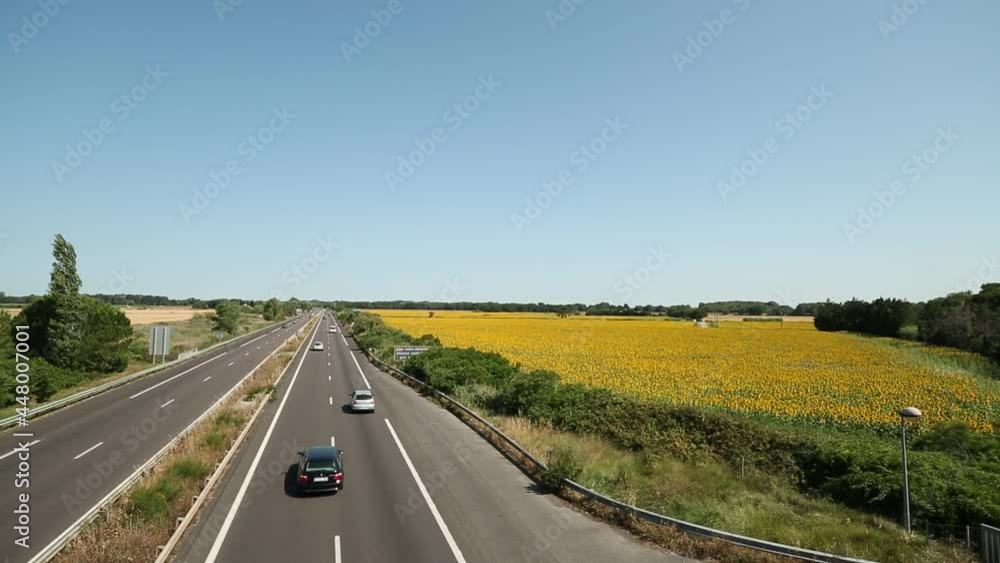 Sunfower Field at Provence France