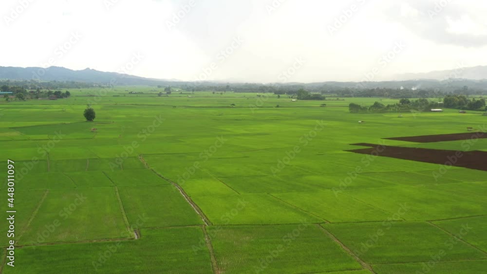 An aerial view of a large rice field near the village. There is a beautiful sun shining in Nan Province, the northern part of Thailand. An aerial view of a large rice field near the village. There is a beautiful sun shining in Nan Province, the northern part of Thailand.