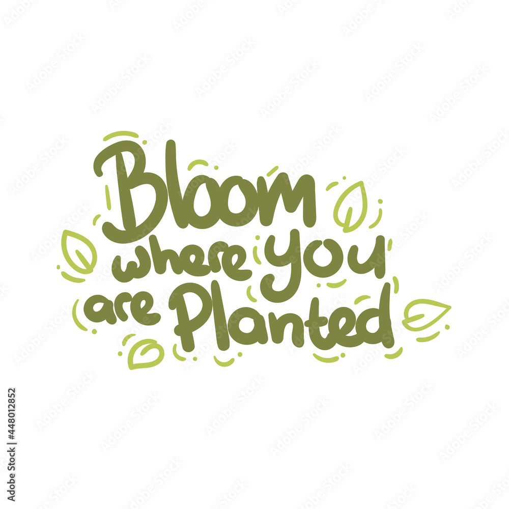 bloom where you are planted quote text typography design graphic vector illustration bloom where you are planted quote text typography design graphic vector illustration