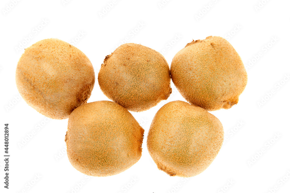 On the white background of kiwi fruit On the white background of kiwi fruit