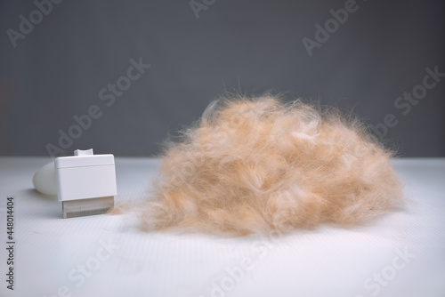 Tools for comfortable and effective pet care. Combing the wool. Grooming.