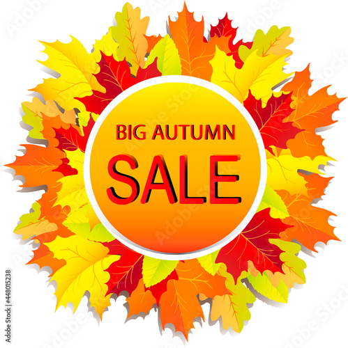 Autumn sale discount banners on colorful fall leaves background for fall season store promotion. Vector illustration. Web