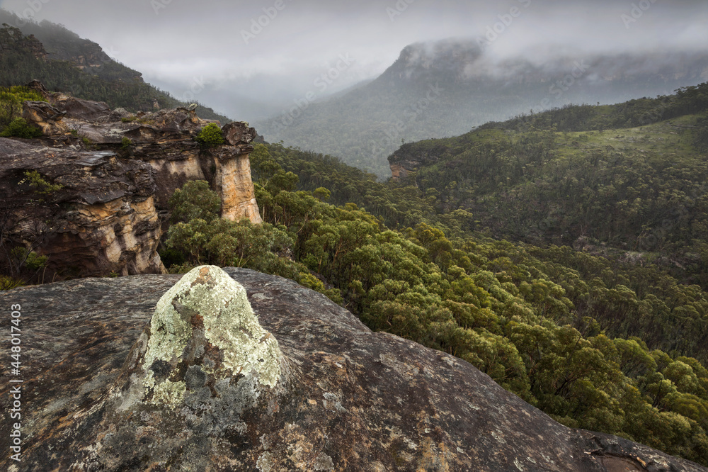 rock formations overlooking the mountains and fog