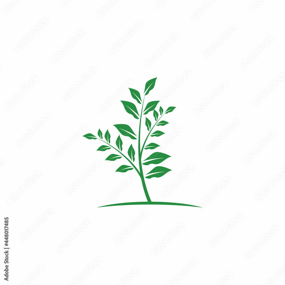 Fototapeta premium Leaf and Shutter Lens Aperture for Nature Photographer logo design inspiration