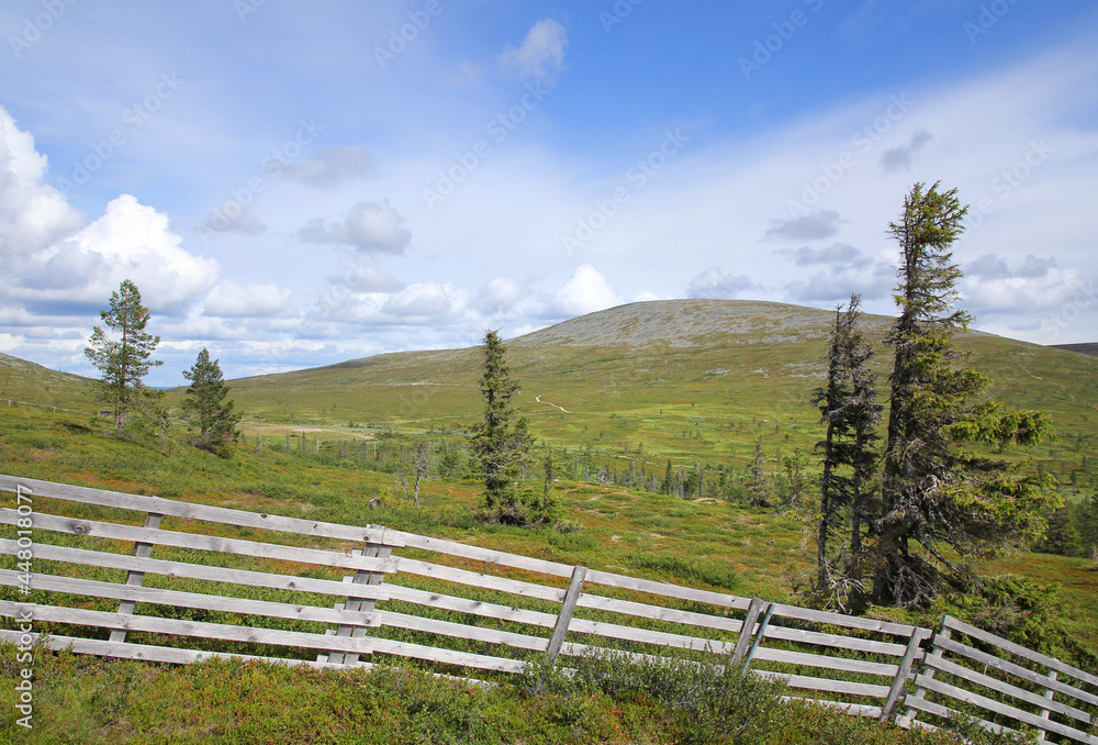 Lapland summer fell landscape