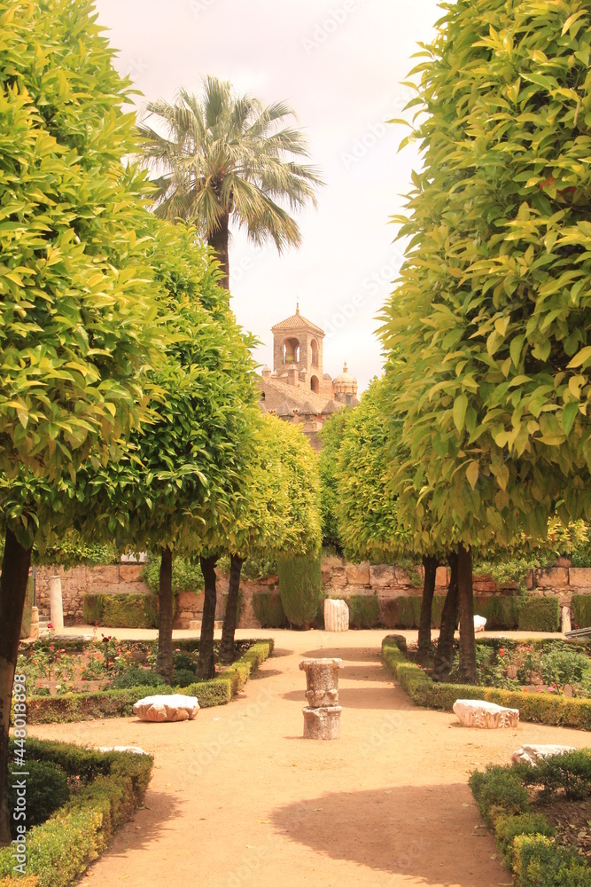 garden in the park in south of Spain