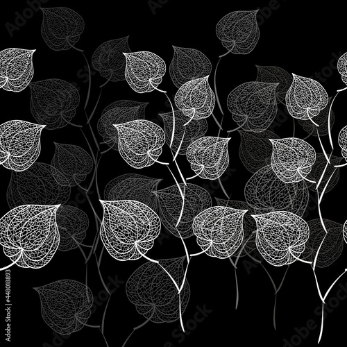 Hand drawn of Outline Physalis plant. Vector seamless pattern background illustration. 