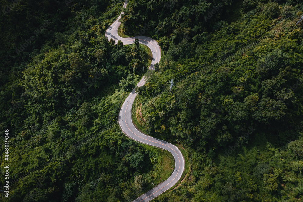 mountain road and green trees from above