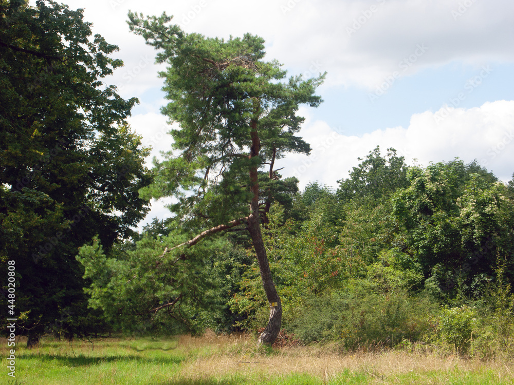 Kinding-Greding 2021