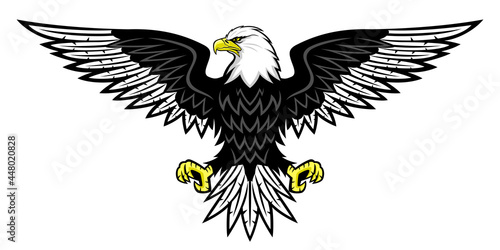 Illustration with bald eagle icon isolated on white background.