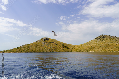 Kornati island in Croatia and gulls flying over the sea surface photo