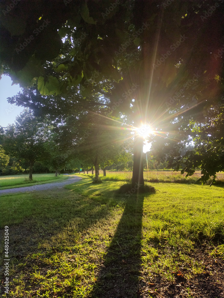 Lichtblick