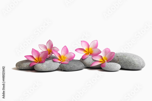 Canvas Print zen stones and three frangipani isolated on a white background
