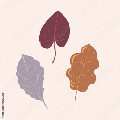 Set of autumn leaves in pastel colors isolated on a white background. Vector illustration in hand drawn style