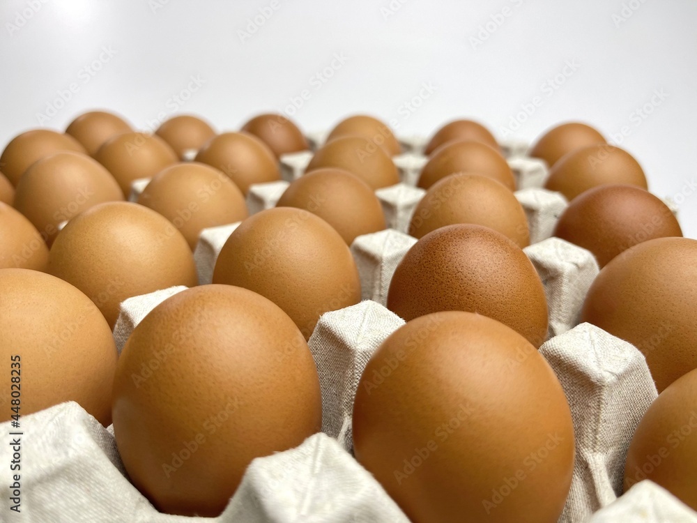 Close up Chicken eggs in carton box isolated on white background Close up Chicken eggs in carton box isolated on white background