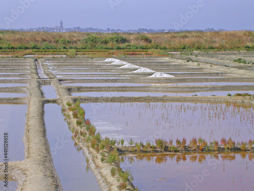 Guérande, les marais salants photo