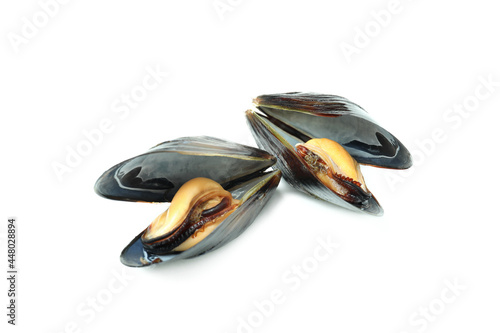 Fresh mussels seafood isolated on white background