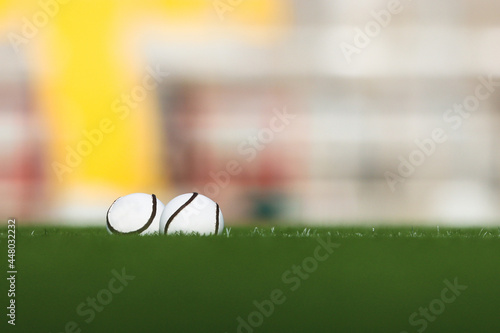 Two size 5 official hurling championship sliotars lie in the grass with an out of focus background with copy space