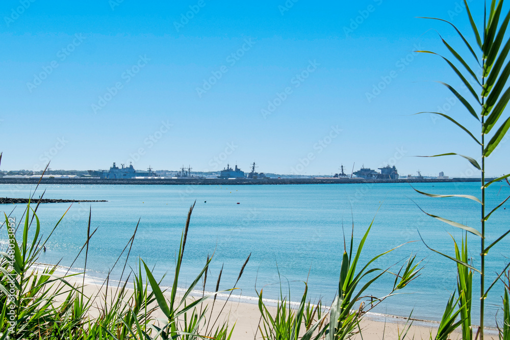 Vegetation on the Rompidillo beach with the naval base in the background in Rota, Cadiz, Andalusia, Spain