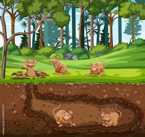 Underground animal burrow with rat family