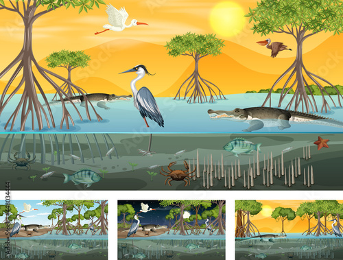Different mangrove forest landscape scenes with animals and plants