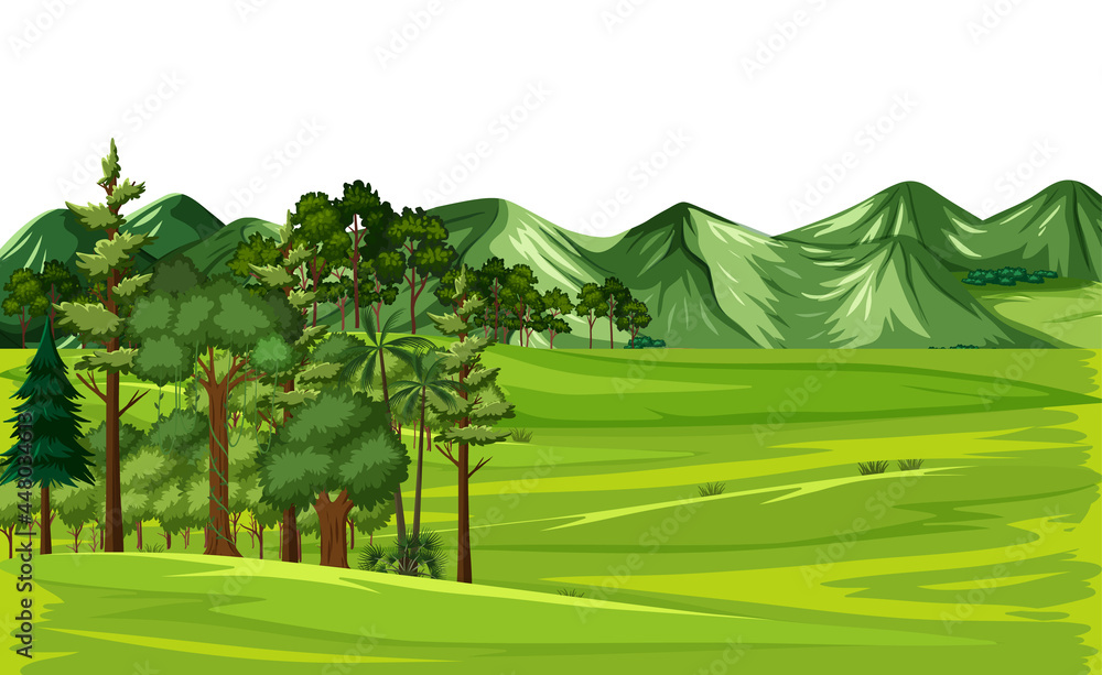 Fototapeta premium Green nature outdoor landscape