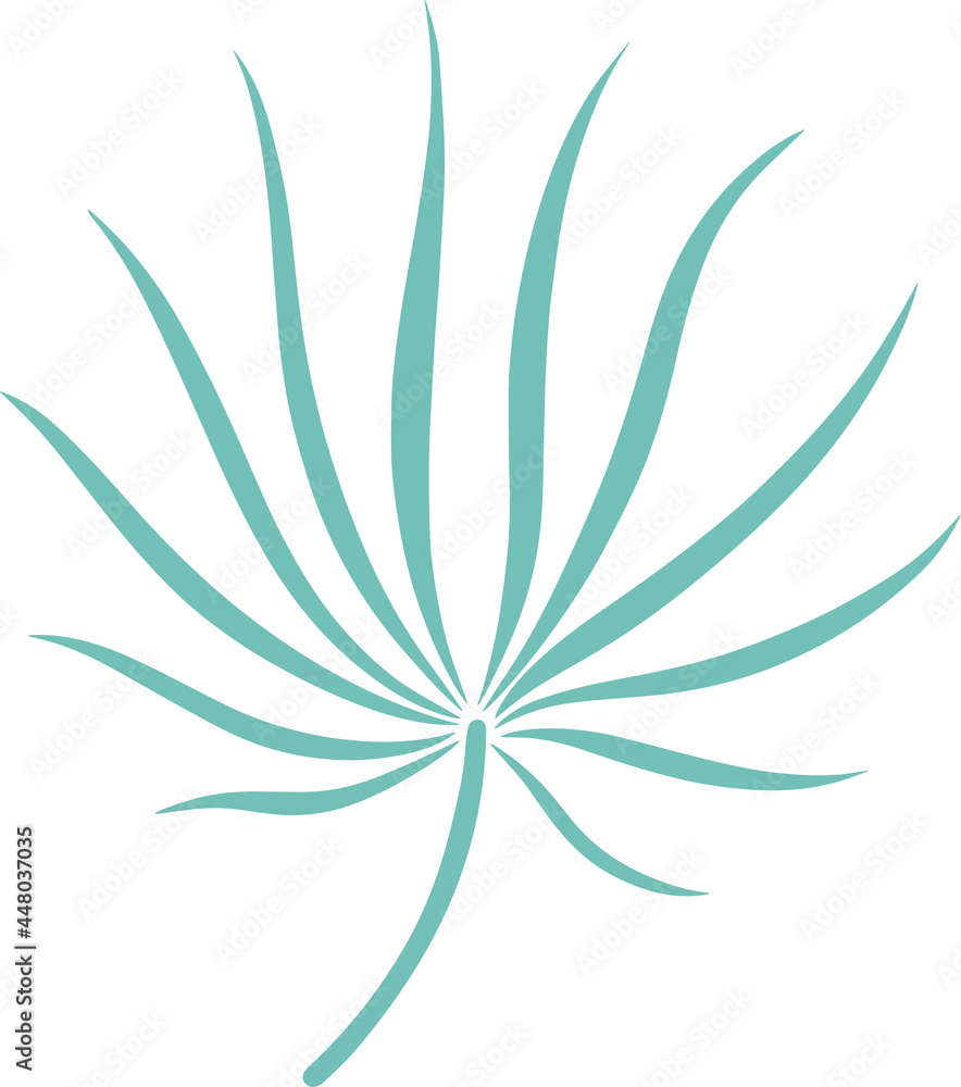 Leaf isolated on white. Tropical leaf. Hand drawn vector illustration Leaf isolated on white. Tropical leaf. Hand drawn vector illustration