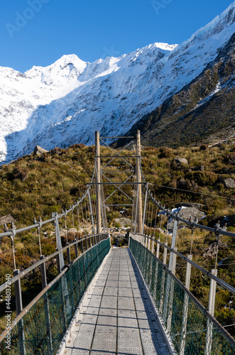 New Zealand Nature