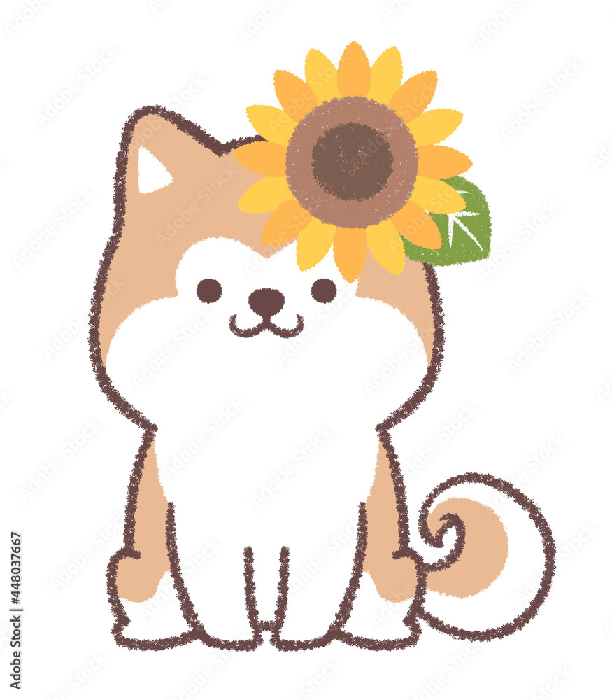 秋田犬と向日葵