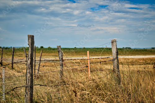 barbed wire and farming land - grassland with dry salt lake in pannonian national reserve park photo