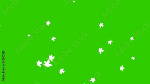 Wallpaper Mural Animated background with white autumn leaves. Motion autumn leaf fall. It is falling. Vector flat illustration isolated on the green background. Torontodigital.ca