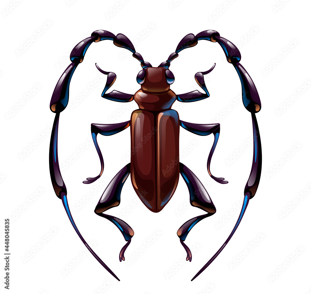 A cute longhorn beetle, vector cartoon art A cute longhorn beetle, vector cartoon art