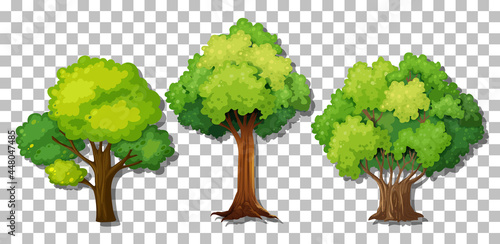 Set of different trees on transparent background