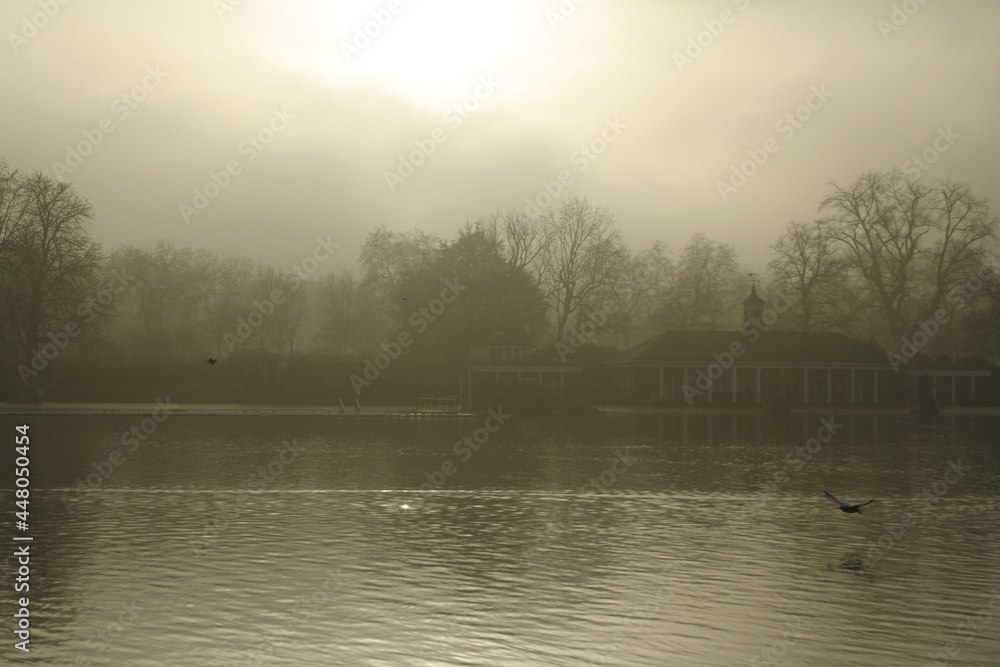 Fototapeta premium Brume
