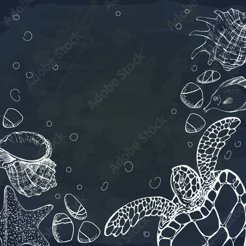 Tropical fish, seashell, starfish and sea turtle on chalkboard. Vector illustration. Template for sea food restaurant menu. Perfect for invitation, postcard, banner. Tourism, travel and adventure.