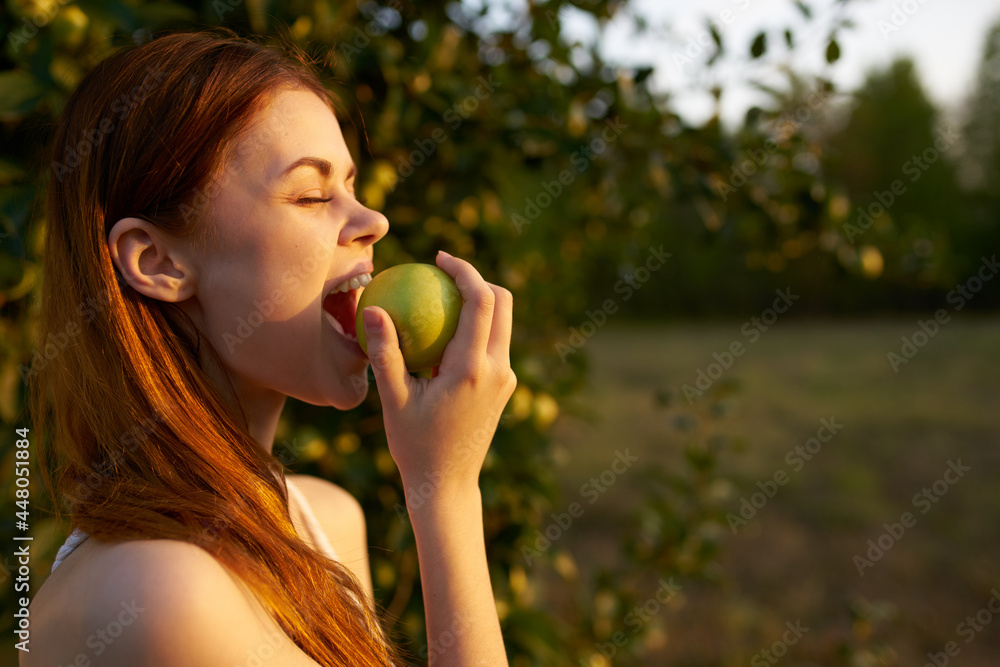 Woman in the field sun apples fruit summer Woman in the field sun apples fruit summer